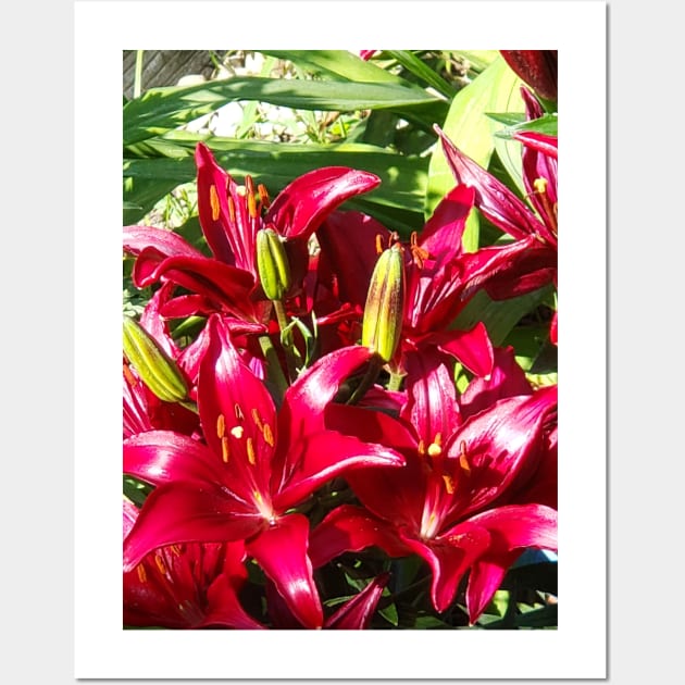 Asiatic Lilies Wall Art by EloiseART